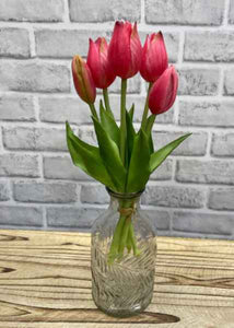 Fresh touch tulip bundle