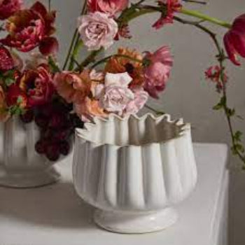 Tulipa compote