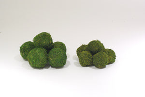 Moss balls