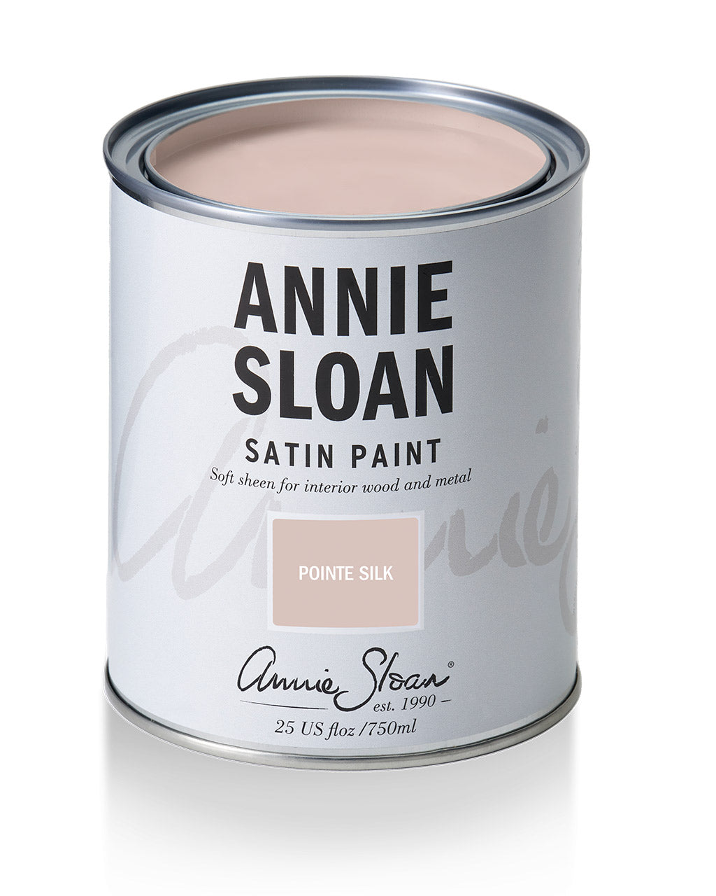 Pointe Silk Satin Paint by Annie Sloan