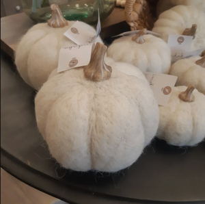 Pumpkins, White