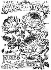 Transfer – Catalogue of Roses